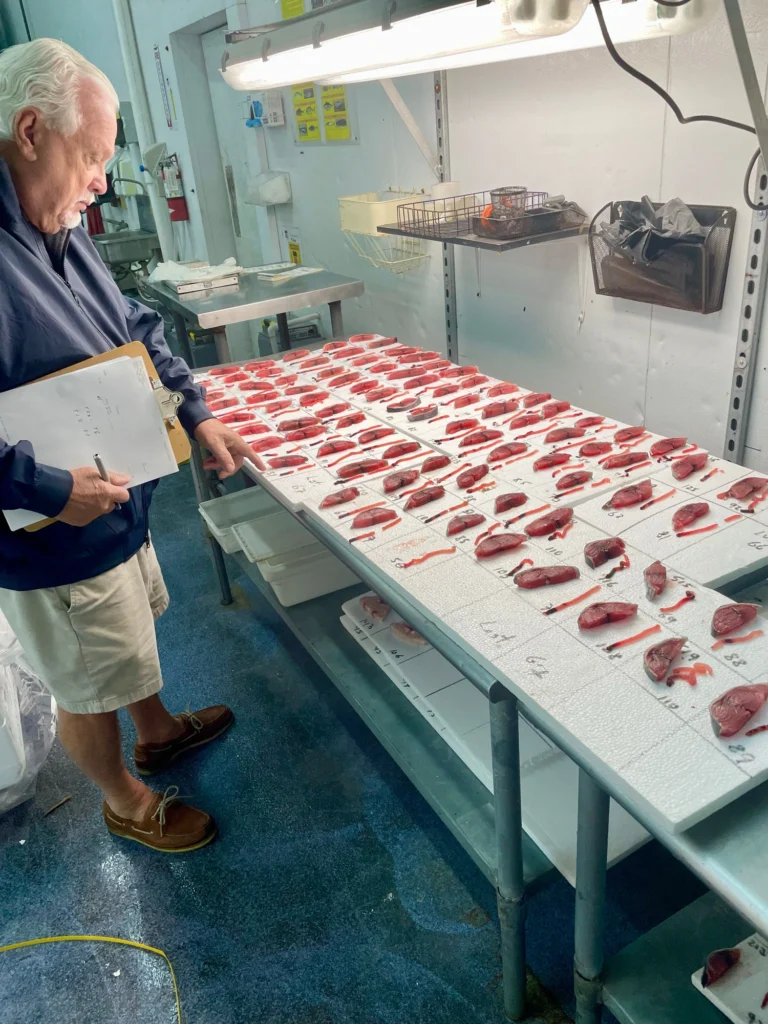 Don Newell Grading Fresh Tuna Cardon