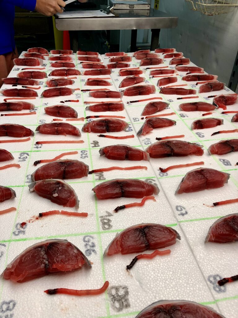 Cardon Fresh Tuna - Gallery